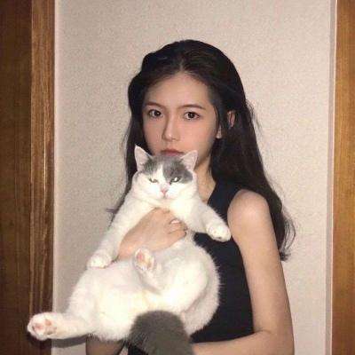 龙麟圣域公益服bt版下载
